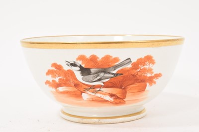 Lot 119 - Ridgway ornithological bowl, circa 1800-10