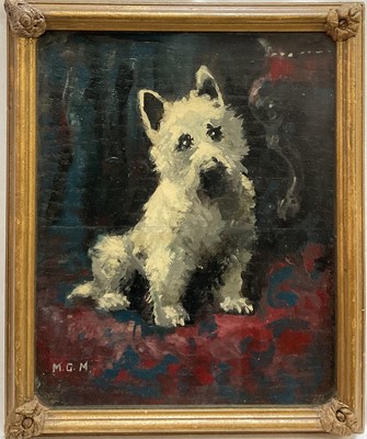 Lot 1077 - *Maude G. Marshall (1877-1967) oil on panel, "Frost" a West Highland Terrier, initialled and inscribed verso in gilt frame, 24 x 20cm