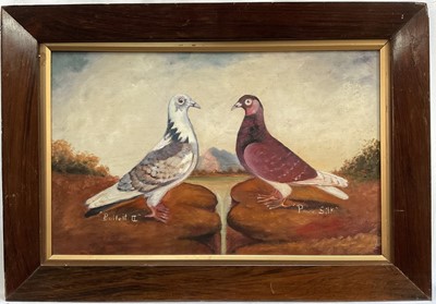 Lot 1080 - English School, circa 1950, oil on canvas of two racing pigeons: Bullett II and Pure Silk, inscribed, in a rosewood frame, 24 x 38cm