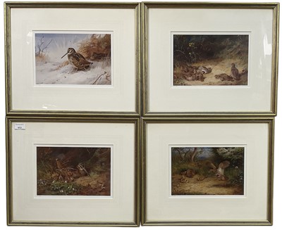 Lot 992 - Archibald Thorburn, set of four limited edition coloured prints of Game Birds, 574/1000, published by William Marler 1994, 40cm x 49cm overall, in glazed gilt frames