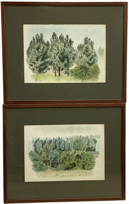 Lot 1117 - *Francis Plummer (1930-2019) two watercolours, ‘A Shift of Trees’ and ‘Corner Crowding’, both signed and dated P. ‘81, 24cm x 35cm, glazed frames
