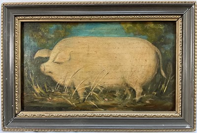 Lot 1139 - English School oil on panel - A Pig, 10cm x 18cm, framed
