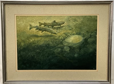 Lot 974 - Martin Knowledon (b.1943) watercolour - Trout, monogrammed and dated 1980, 34cm x 49cm, in glazed frame