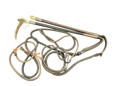 Lot 907 - Two hunting whips with stag horn handles and leather shafts, together with a spare leather whip thong