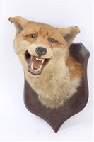 Lot 919 - Early 20th century SPictureser & Sons Fox mask...