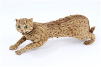 Lot 921 - An old preserved Mountain Cat, 55cm long