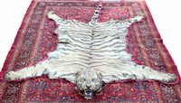 Lot 933 - A good 1920s Van Ingen of Mysore Tiger skin...