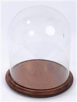 Lot 934 - A glass dome on turned wooden base, ideal for...