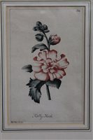 Lot 1044 - Robert Watts, mid-18th century watercolour -...