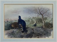 Lot 994 - Archibald Thorburn (1860 - 1935), watercolour -...