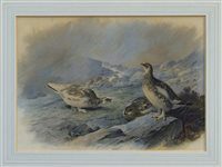 Lot 995 - Archibald Thorburn (1860 - 1935), watercolour -...