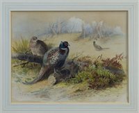 Lot 996 - Archibald Thorburn (1860 - 1935), watercolour -...