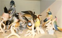 Lot 168 - Nine various Karl Ens porcelain birds (all...