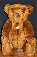 Lot 707 - Steiff Brown Bear 663123, 65cm approximately,...