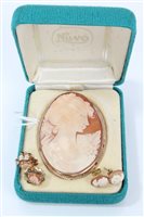 Lot 1256 - Carsved shell Cameraseo brooch dePicturesting...