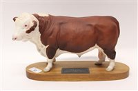 Lot 93 - Beswick Connoisseur model - Polled Hereford...