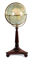 Lot 1442 - Good decorative globe on rosewood stand, the...