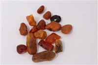 Lot 826 - Collection of amber specimens (approximately...