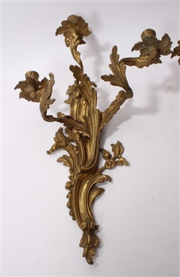 Lot 18 - Good quality pair of Rococo-style gilt brass wall lights