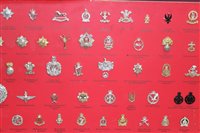 Lot 579 - Collection of 80 British Military Stay Brite cap badges mounted on board