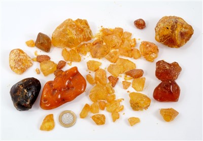 Lot 878 - Group of amber specimens