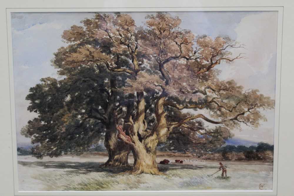 Lot 1200 - William Callow (1812-1908) watercolour - figure and livestock with oak trees in extensive landscape, monogrammed, in glazed frame, 37cm x 53cm