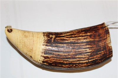 Lot 3544 - Whale tooth