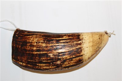 Lot 3544 - Whale tooth