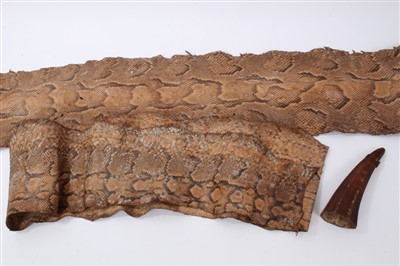 Lot 797 - Antique worked horn vessel, two Python skins (brought back 1909)