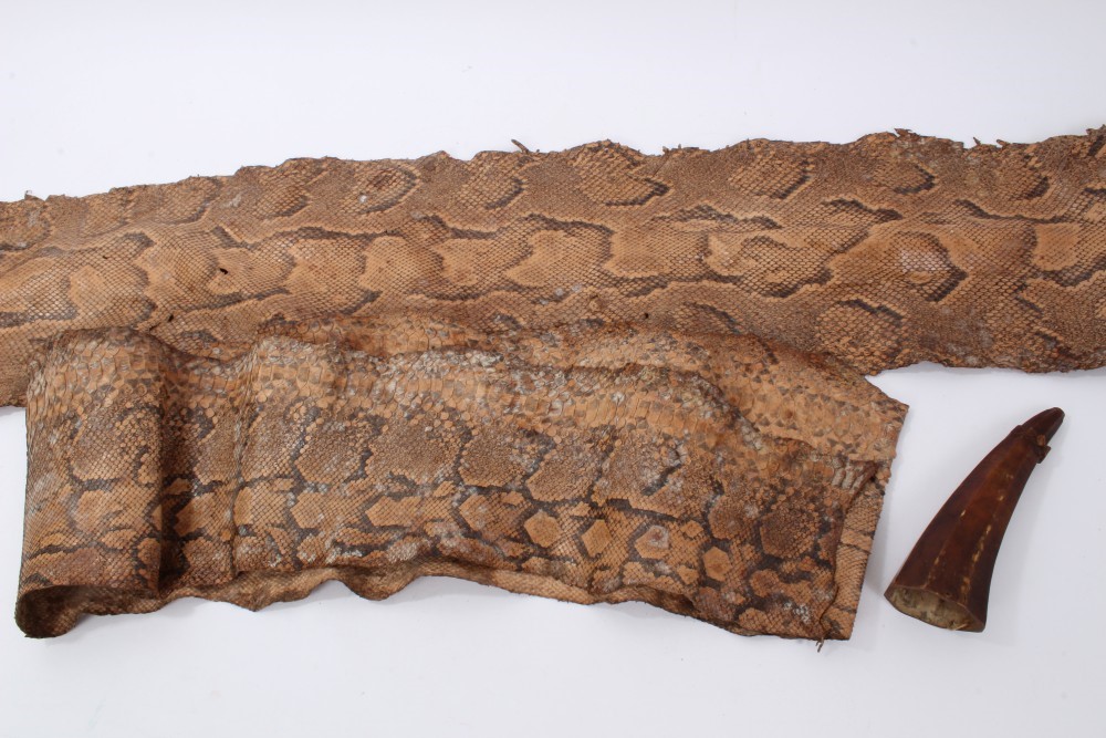 Python Horns Lot 797 - Antique worked horn vessel, two Python skins
