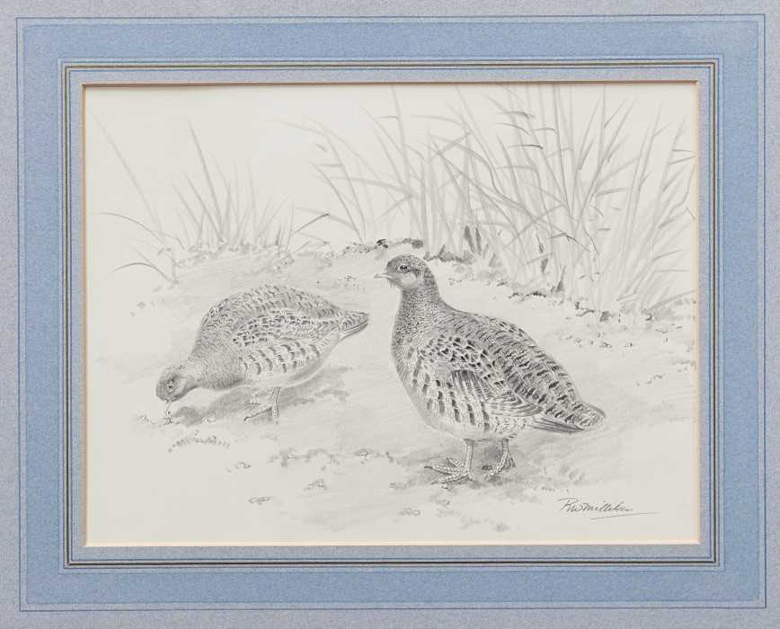 Lot 894 - Robert W. Milliken (1920-2014) pencil drawing - English Partridges, signed...