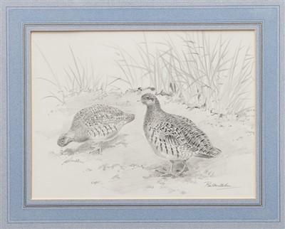 Lot 894 - Robert W. Milliken (1920-2014) pencil drawing - English Partridges, signed...