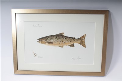 Lot 90 - Sir Michael Tims K.C.V.O. - pair signed artist's proof prints of fish, in glazed frames and HRH The Prince of Wales print of Scottish landscape, in glazed frame (3)