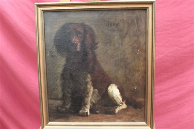 Lot 1273 - 19th century English school oil on canvas - portrait of a Spaniel, “Joey”, in gilt frame, 45cm x 40cm