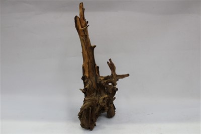 Lot 204 - Driftwood root sculpture, 73.5cm overall height