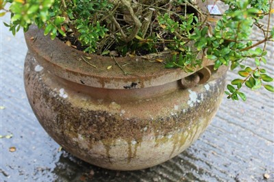 Lot 1528 - Compton pottery style terracotta pot