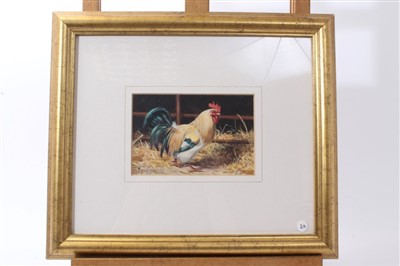 Lot 1042 - Ralston Gudgeon (1910-1984) watercolour - Baby Magpies, signed, in glazed gilt frame