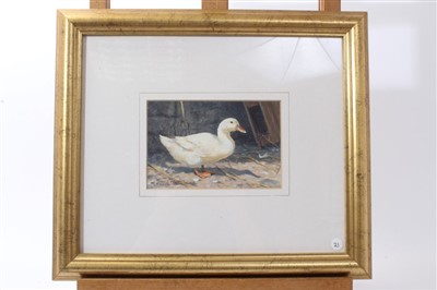 Lot 67 - *Donna Crawshaw (b.1960) pair of oils on canvas board - a duck and a cockerel, signed, in glazed gilt frames