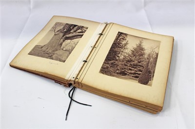 Lot 2402 - Victorian Photograph Album containing large photographs of Scotland, including Blair Castle, Megginch Castle, interiors, staff and families.