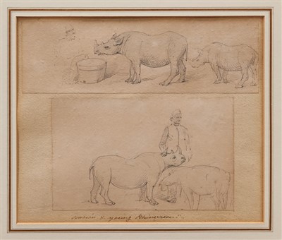 Lot 1150 - William Strutt (1825-1915) pencil sketches inscribed ‘Nubian & Young Rhinoceros’, in glazed gilt frame, 21cm x 25cm