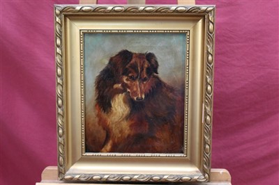 Lot 1251 - N. Poole, 19th century oil on canvas - a collie dog, signed, in gilt frame, 33cm x 25cm