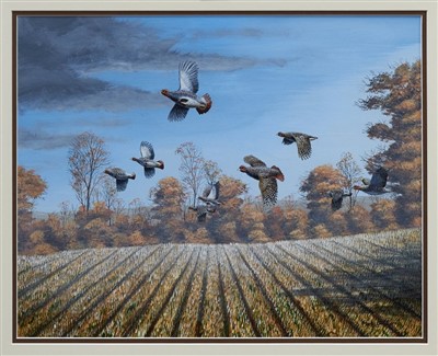 Lot 906 - Mark Chester, contemporary, acrylic on paper - Autumn Covey of English Partridge...