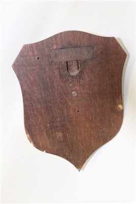 Lot 854 - Fox mask mounted on oak shield