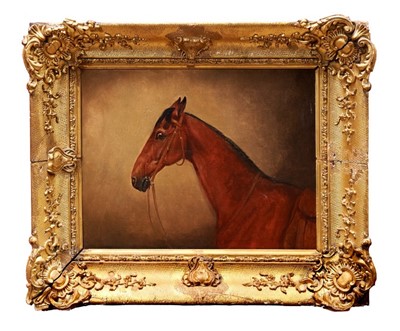 Lot 970 - Follower of Edwin Landseer (1802-1873) oil on canvas - a bay horse, in gilt frame, 22cm x 28.5cm