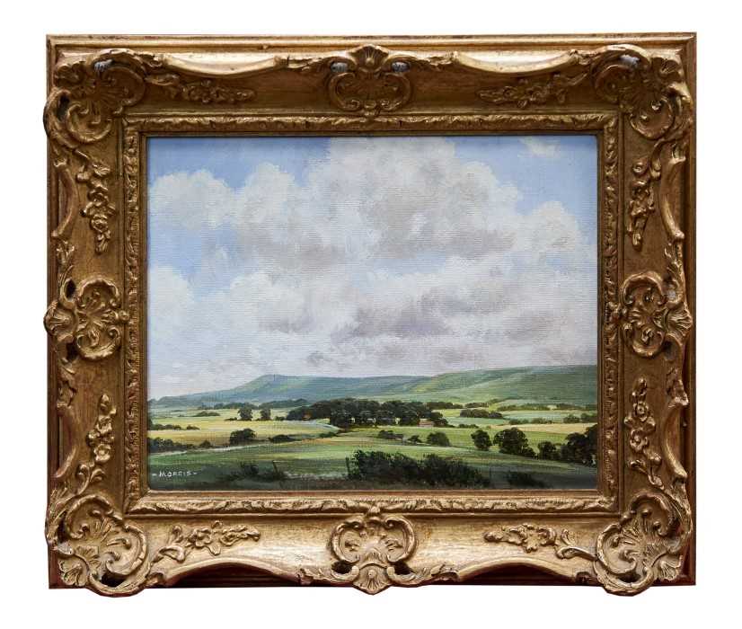Lot 986 - Michael Morris (b.1928) oil on canvas - Clouds over the Sussex Downs, signed, in gilt frame, 20.5cm x 25.5cm 
 Provenance: Christopher Cole Fine Paintings, Henley on Thames