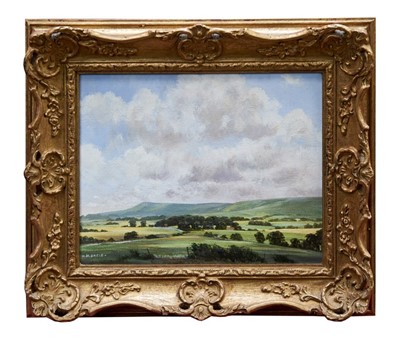 Lot 986 - Michael Morris (b.1928) oil on canvas - Clouds over the Sussex Downs, signed, in gilt frame, 20.5cm x 25.5cm 
 Provenance: Christopher Cole Fine Paintings, Henley on Thames