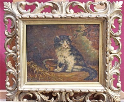 Lot 1089 - 19th century English school oil on canvas - a kitten seated by its bowl, in period gilt Florentine frame, 23cm x 27cm