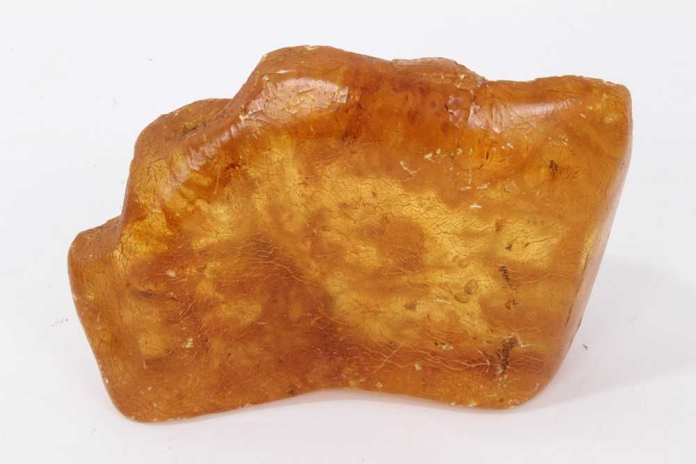 Lot 790 - Large specimen of amber