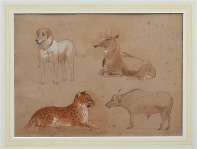 Lot 1004 - William Strutt (1825-1916) two pencil and watercolours heightened with white - studies of a lion and lioness, a buffalo, cheetah and dog, the first dated 1845, its companion inscribed ‘Nylguro/184....