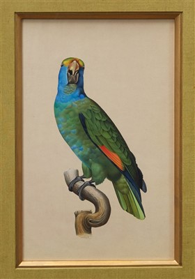 Lot 1009 - S. Shakir, Pakistan school, four fine quality watercolours and gouache - Parrots, signed, in glazed gilt frames with green silk mounts, 27cm x 17cm